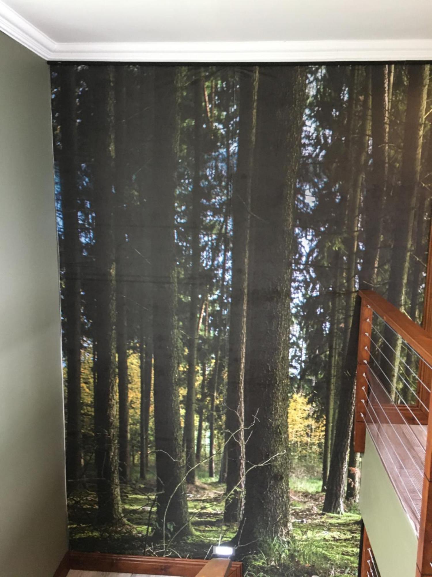Forest Hill Wilderness Wildernis Exterior foto